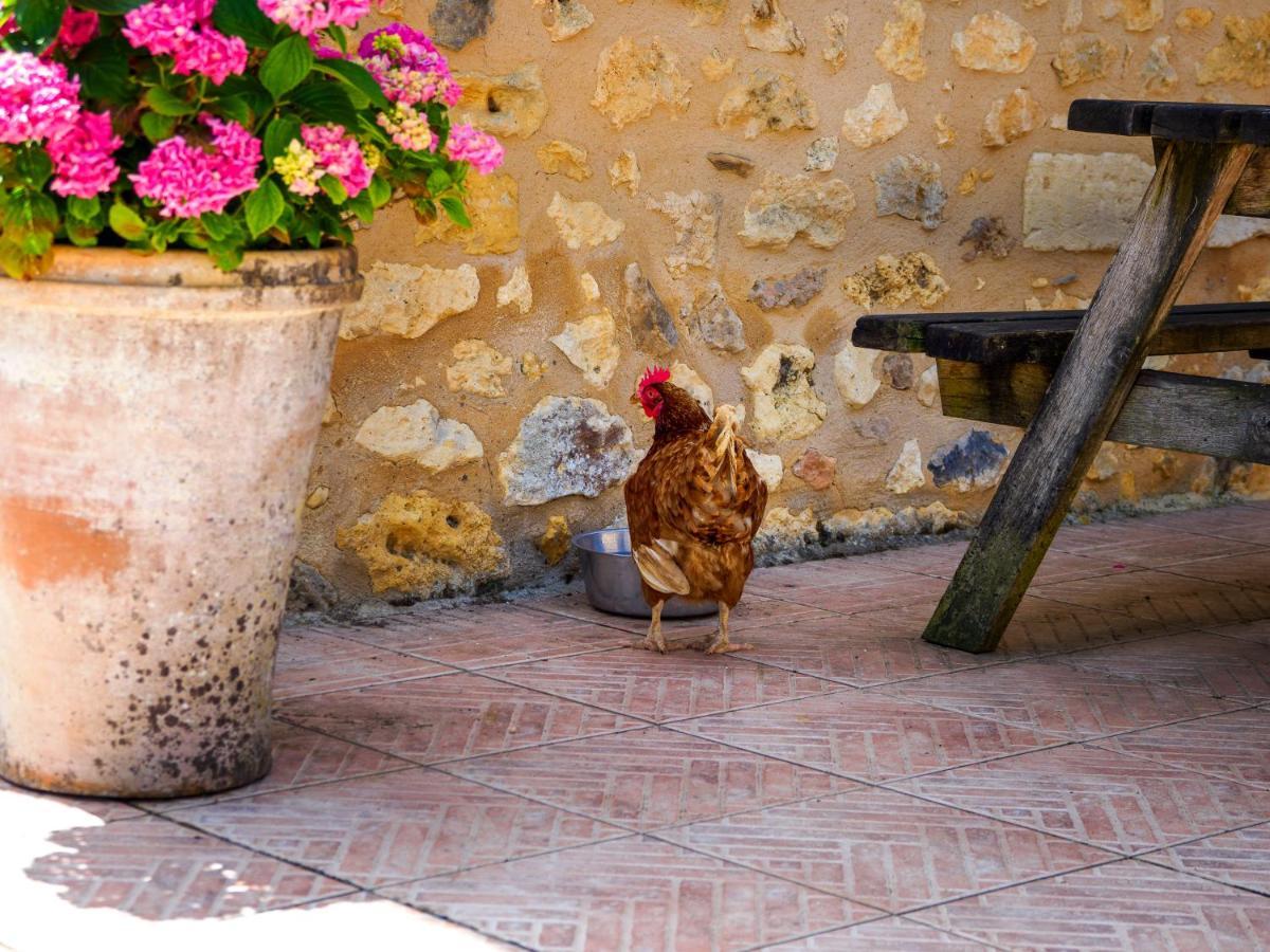 Le Nid De Faucons Villa Lalinde Exterior foto